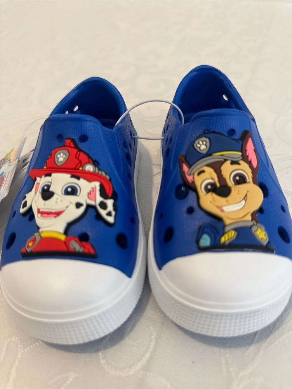 Harper Canyon Paw Patrol Mismatched Water Shoe